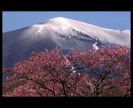 第49回(平成28年度) 群馬県知事賞の作品写真 第49回(平成28年度) 群馬県知事賞の作品写真