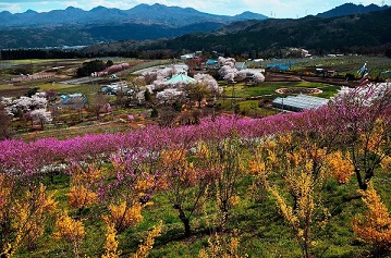 第50回(平成29年度) 中之条町議会議長賞の作品写真 第50回(平成29年度) 中之条町議会議長賞の作品写真