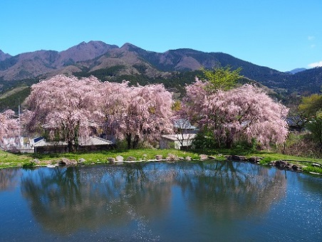 第50回(平成29年度) 東吾妻町議会議長賞の作品写真 第50回(平成29年度) 東吾妻町議会議長賞の作品写真