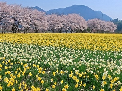 第53回(令和2年度)東吾妻町観光協会長賞の作品写真 第53回(令和2年度)東吾妻町観光協会長賞の作品写真