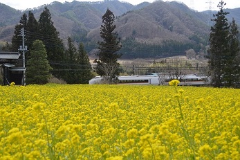 第53回(令和2年度) JR長野原草津口駅長賞の作品写真 第53回(令和2年度) JR長野原草津口駅長賞の作品写真