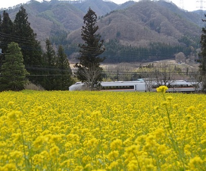 第53回(令和2年度)JR長野原草津口駅長賞の作品写真 第53回(令和2年度)JR長野原草津口駅長賞の作品写真