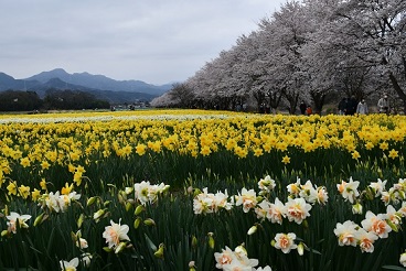 第54回（令和3年度）（公財）群馬県観光物産国際協会理事長賞の作品写真