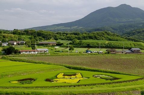 第50回(平成29年度) 高山村長賞の作品写真 第50回(平成29年度) 高山村長賞の作品写真