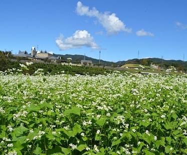 第52回(平成31年度/令和元年度) 高山村長賞の作品写真 第52回(平成31年度/令和元年度) 高山村長賞の作品写真
