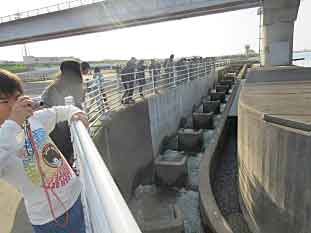 板倉コース 利根大堰写真2 板倉コース 利根大堰写真2
