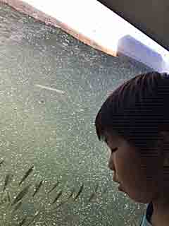 板倉コース 利根大堰写真01 板倉コース 利根大堰写真01