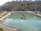 田口発電所水槽の写真