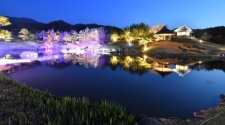 楽山園のライトアップの画像
