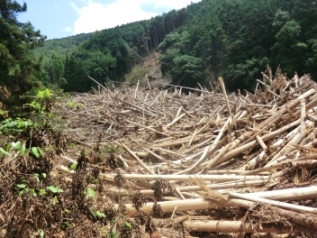 昨年の北九州北部豪雨の様子の画像