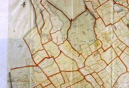 精細画像05