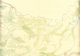 精細画像05