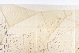 精細画像02