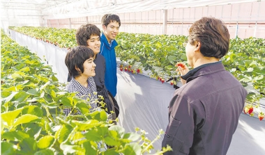 野菜コースの授業風景の画像