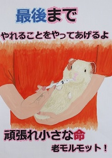 金賞中学1年(令和4年度)ポスター画像