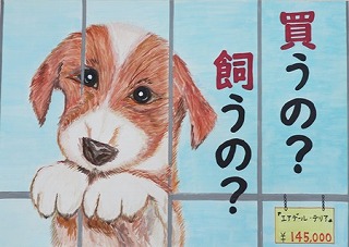 銅賞中学2年(令和4年度)ポスター画像