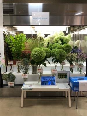講義の写真 展示の様子の画像