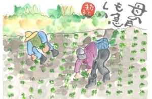 392_今きりないと思い田植えを描いてみました。画像