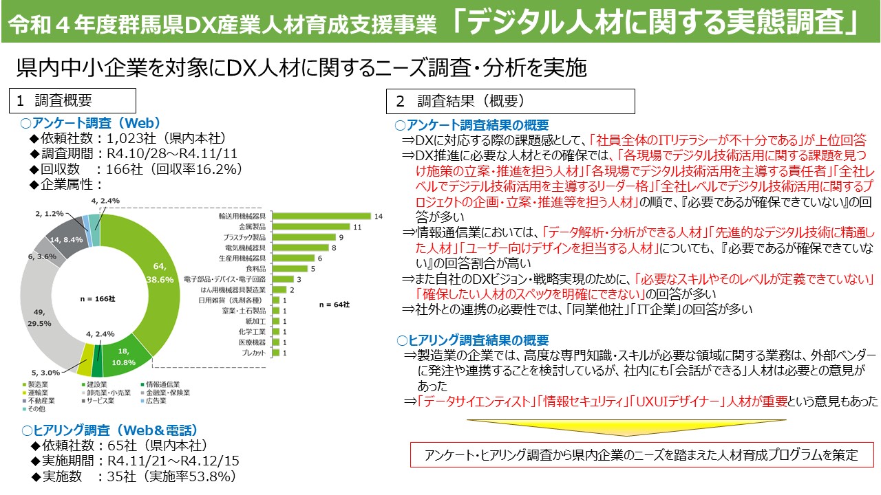 「デジタル人材に関する実態調査」の概要の画像