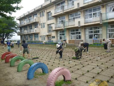 令和5年6月27日の写真