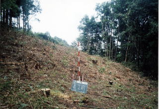 林道開通前の様子写真（着工前）