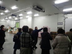 豊洲市場視察の様子写真 豊洲市場視察の様子写真