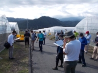 「若手トマト生産者現地研修会」の様子写真 「若手トマト生産者現地研修会」の様子写真