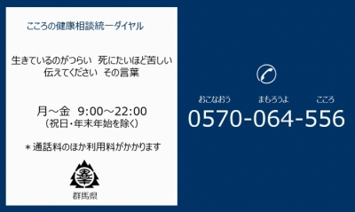 ナビダイヤルカードの画像