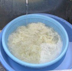 煮た白皮を流水でさらす写真 煮た白皮を流水でさらす写真