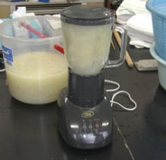 白皮のミキシング写真 白皮のミキシング写真