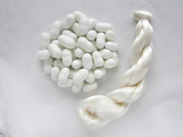 上州絹星の繭と生糸の写真