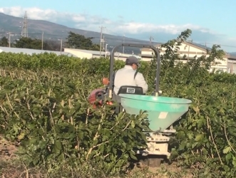 桑園の管理写真 桑園の管理写真