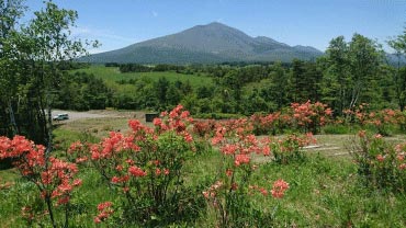 天丸山からの風景その2画像