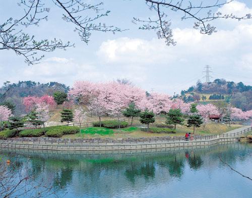 竹沼（藤岡市）の画像