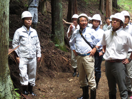杉のクマ剥ぎ被害場所にて様子写真