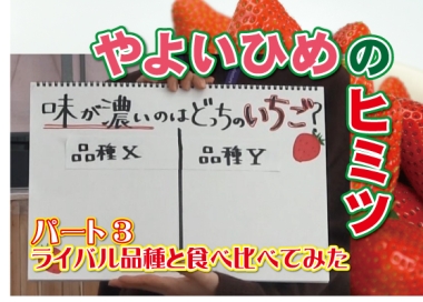 やよいひめのヒミツパート3の画像