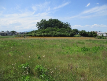 南側から撮影した追加指定地(高崎市教育委員会提供)の写真 南側から撮影した追加指定地(高崎市教育委員会提供)の写真