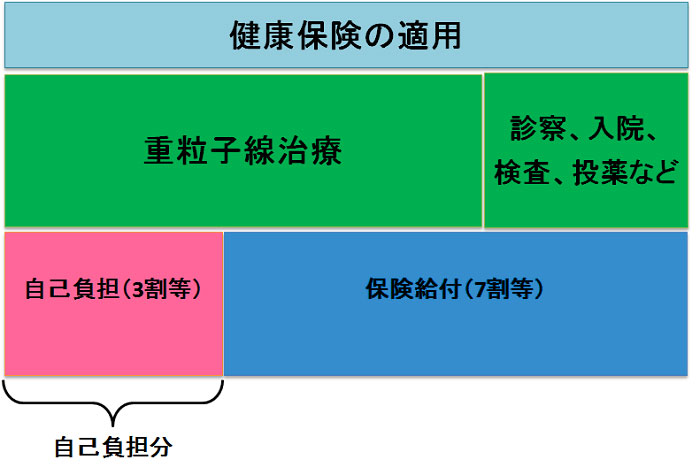 保険適用の費用の図画像