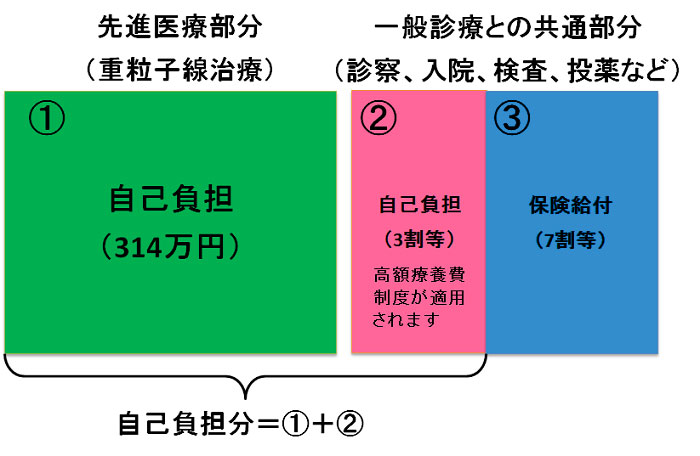 先進医療費の図画像