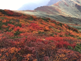  紅葉一ノ倉岳の写真