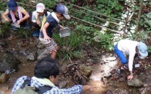 ネイチャーゲーム、水生生物調査、昆虫マップづくりの画像