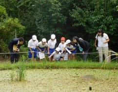 自然観察会の様子の写真（1）