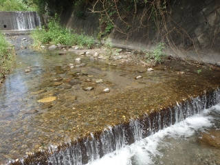 粕川上流写真1