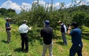 リンゴ栽培の優良事例を学ぶ視察研修の開催の画像