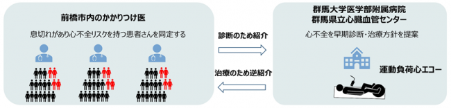 前橋保健医療圏における心不全の早期診断事業の概要の画像