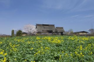 FarmLand image