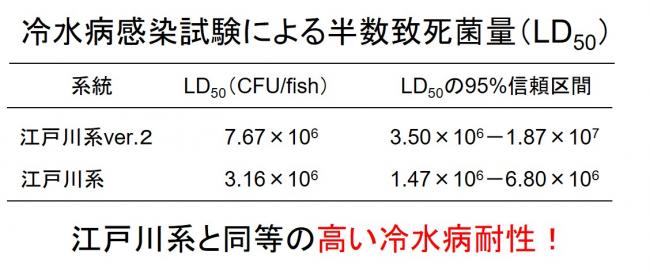 江戸川系ver2のLD50画像