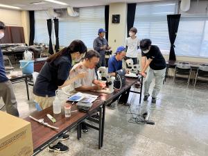 参加者が検鏡を体験の写真