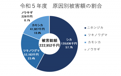 令和５年度原因別被害額の割合グラフ画像