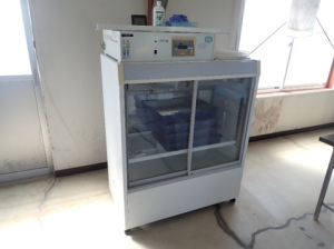 カイコは恒温器（インキュベーター）内で管理画像